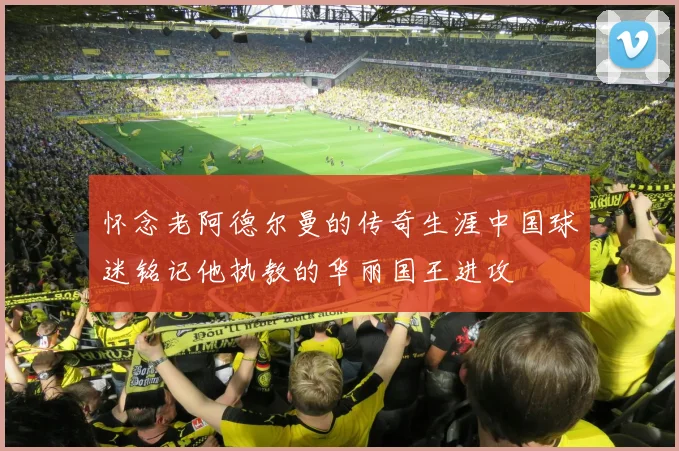 怀念老阿德尔曼的传奇生涯中国球迷铭记他执教的华丽国王进攻