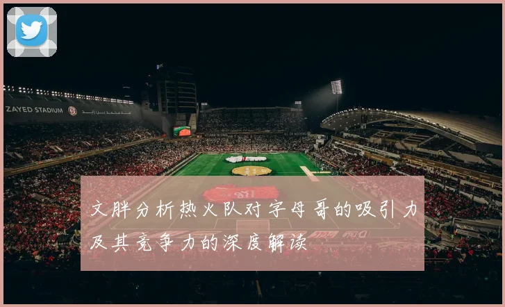 文胖分析热火队对字母哥的吸引力及其竞争力的深度解读